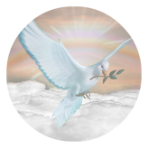 DAROUND 116 D BZ Dove Clouds Bronze